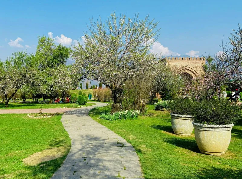 Maintained green park and walkway